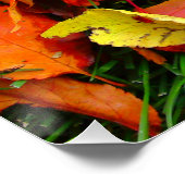 Autumn Leaf Texture Perfect Poster (Hoek)