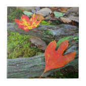 Autumn Leaf Tile Tegeltje (Voorkant)