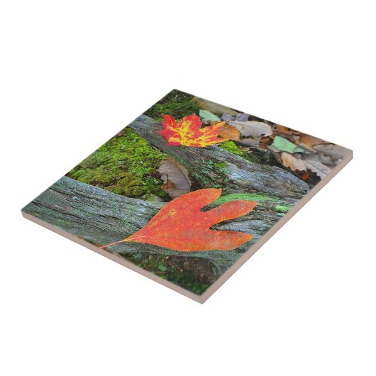 Autumn Leaf Tile Tegeltje (Zijkant)