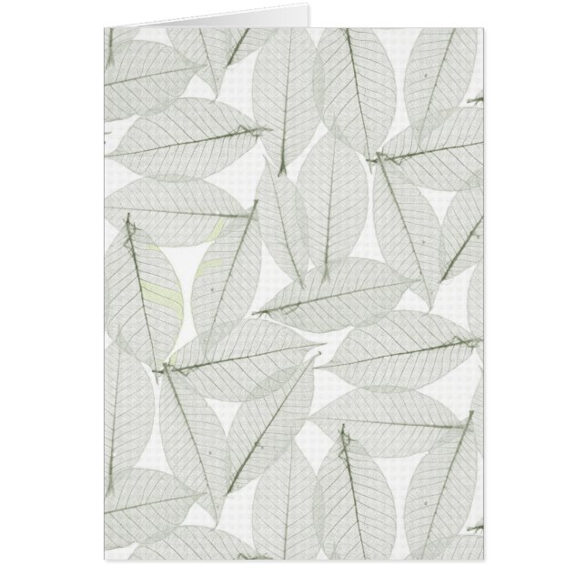 Autumn Leaves (Voorkant)