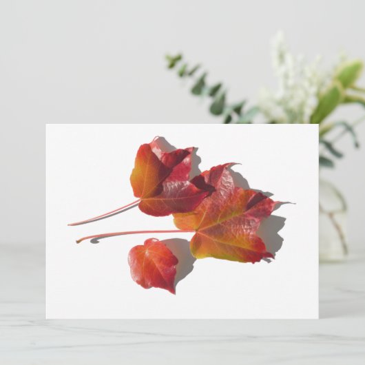 Autumn Leaves (Staand voorkant)