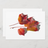 Autumn Leaves (Voorkant / Achterkant)