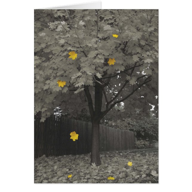 Autumn Leaves (Voorkant)