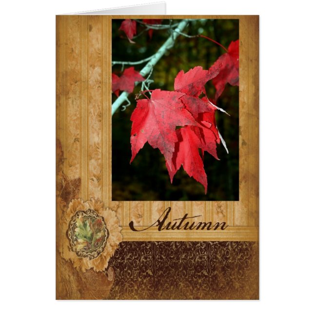 Autumn Leaves (Voorkant)
