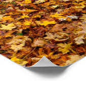 Autumn Leaves Abstract Poster (Hoek)