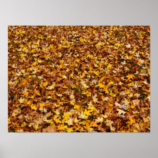 Autumn Leaves Abstract Poster (Voorkant)