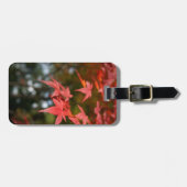 Autumn Leaves Bagagelabel (Voorkant horizontaal)