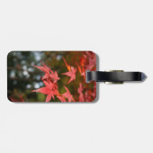 Autumn Leaves Bagagelabel (Achterkant horizontaal)