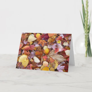 Autumn Leaves Blank Note Card Kaart