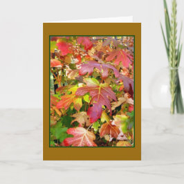 'Autumn Leaves' Blank Wenskaart Kaart