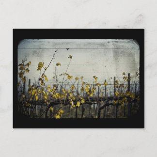 Autumn Leaves Briefkaart