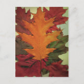 Autumn Leaves Briefkaart (Voorkant)