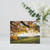 Autumn Leaves Briefkaart (Staand voorkant)