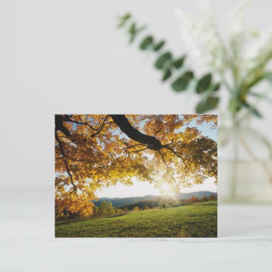 Autumn Leaves Briefkaart (Staand voorkant)