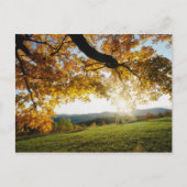 Autumn Leaves Briefkaart (Voorkant)