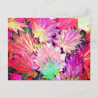 Autumn Leaves Briefkaart