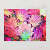 Autumn Leaves Briefkaart (Voorkant)