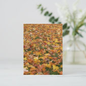 Autumn Leaves Briefkaart (Staand voorkant)