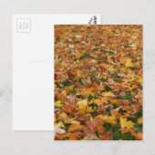Autumn Leaves Briefkaart (Voorkant / Achterkant)