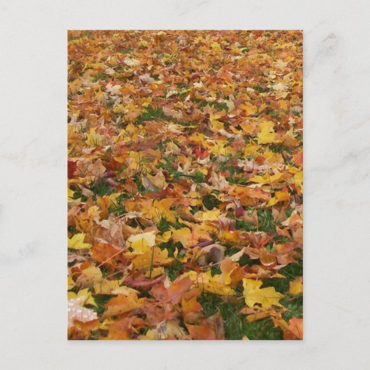 Autumn Leaves Briefkaart (Voorkant)