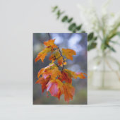 Autumn Leaves Briefkaart (Staand voorkant)