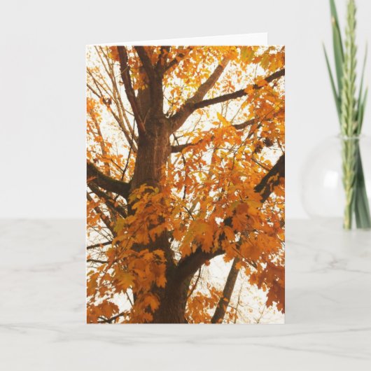 Autumn Leaves Briefkaart (Voorkant)