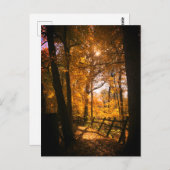 Autumn Leaves Briefkaart (Voorkant / Achterkant)