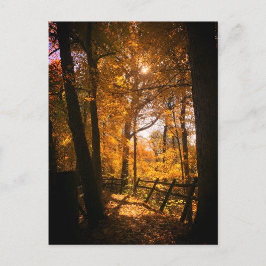 Autumn Leaves Briefkaart (Voorkant)