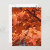 Autumn Leaves Briefkaart (Voorkant / Achterkant)