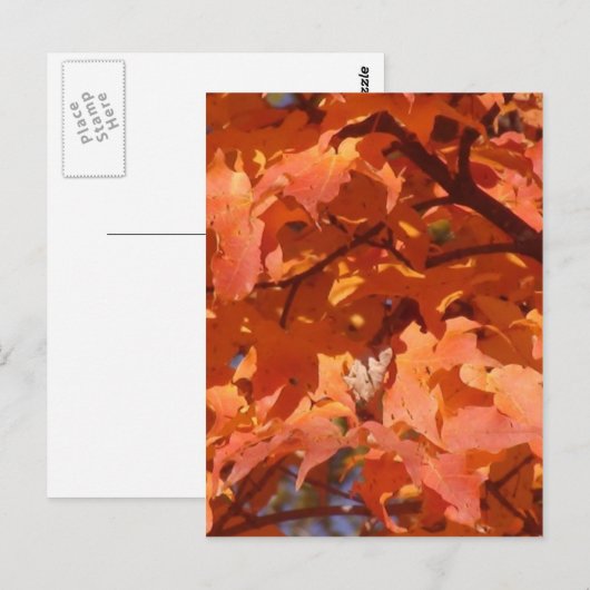 Autumn Leaves Briefkaart (Voorkant / Achterkant)