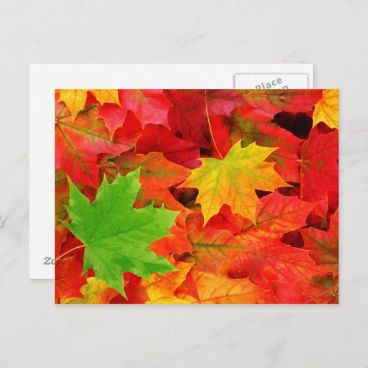 Autumn Leaves Briefkaart (Voorkant / Achterkant)