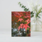 Autumn Leaves Briefkaart (Staand voorkant)