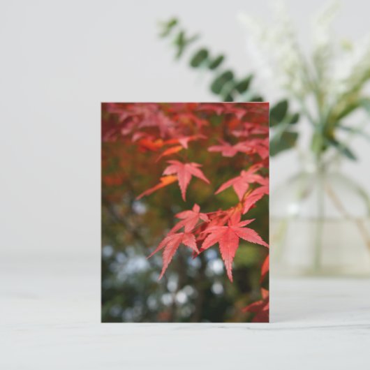 Autumn Leaves Briefkaart (Staand voorkant)