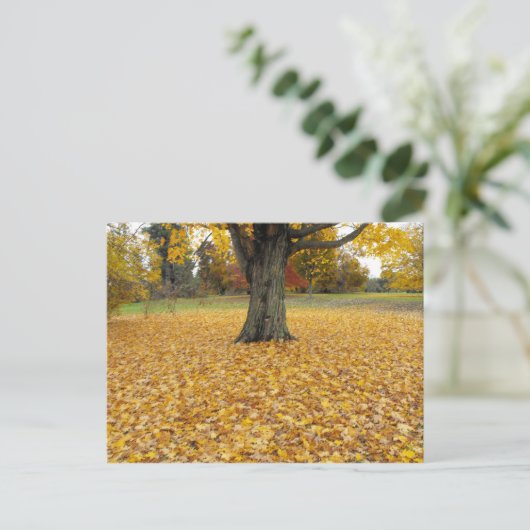 Autumn Leaves Briefkaart (Staand voorkant)