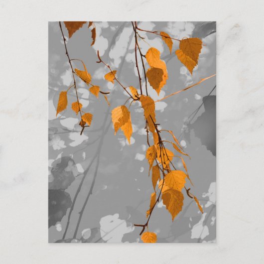 Autumn Leaves Briefkaart (Voorkant)