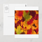 AUTUMN LEAVES BRIEFKAART (Voorkant / Achterkant)