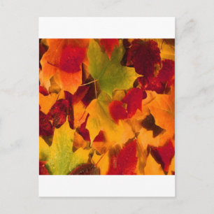 AUTUMN LEAVES BRIEFKAART