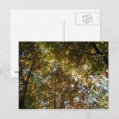 Autumn Leaves Briefkaart (Voorkant / Achterkant)