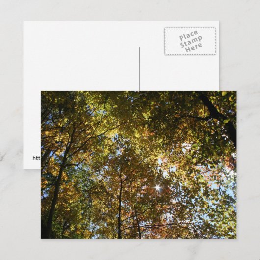 Autumn Leaves Briefkaart (Voorkant / Achterkant)