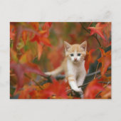 Autumn Leaves Briefkaart (Voorkant)