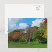 Autumn Leaves Briefkaart (Voorkant / Achterkant)