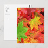 AUTUMN LEAVES BRIEFKAART (Voorkant / Achterkant)