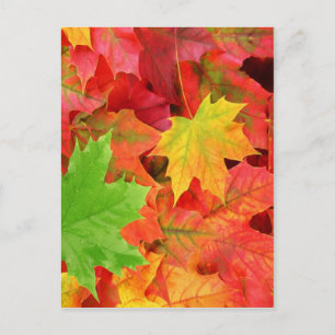 AUTUMN LEAVES BRIEFKAART
