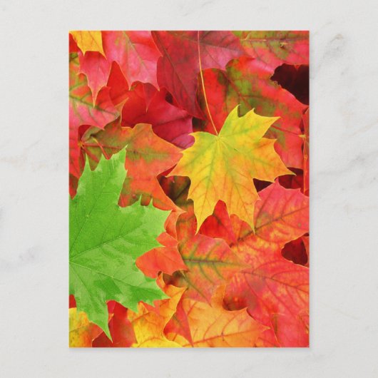 AUTUMN LEAVES BRIEFKAART (Voorkant)