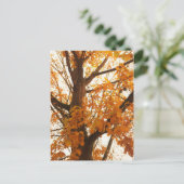 Autumn Leaves Briefkaart (Staand voorkant)