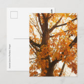 Autumn Leaves Briefkaart (Voorkant / Achterkant)