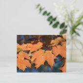 Autumn Leaves Briefkaart (Staand voorkant)