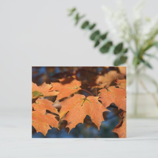 Autumn Leaves Briefkaart (Staand voorkant)