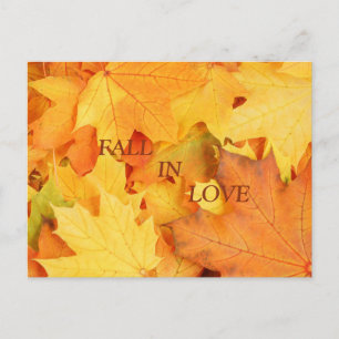 Autumn Leaves Briefkaart