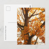Autumn Leaves Briefkaart (Voorkant / Achterkant)